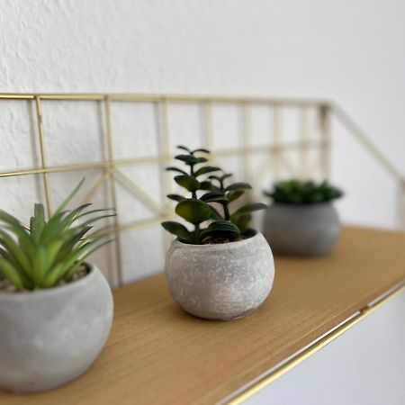 Auszeit Bergliebe Apartment วินเทอร์แบร์ก ภายนอก รูปภาพ