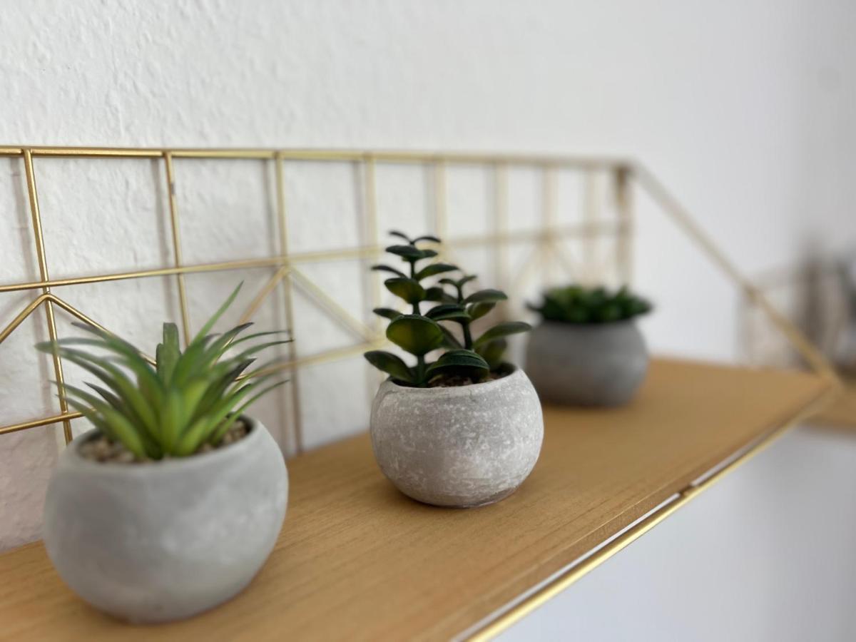 Auszeit Bergliebe Apartment วินเทอร์แบร์ก ภายนอก รูปภาพ